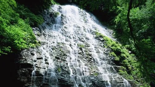 节能智能化精密